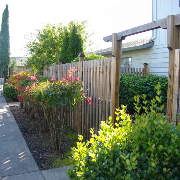 Marlene Village Townhomes gardens